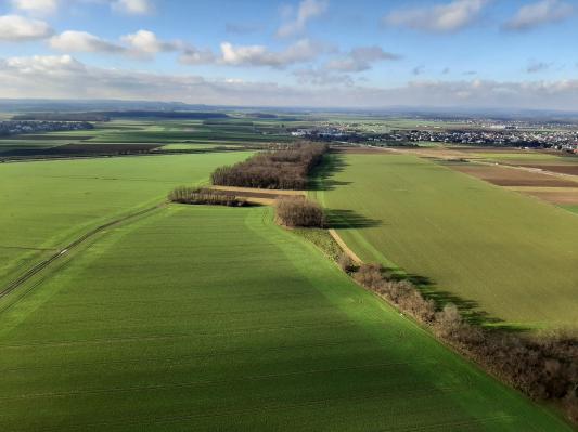 Kakšno bo vreme danes in jutri?