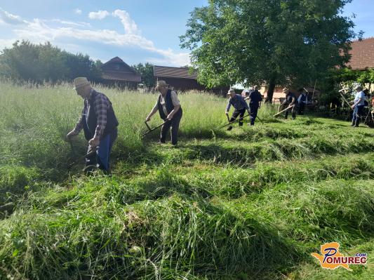 FOTO: Na nekdanjem posestvu beltinske grofice Marija Zichy so kosili z ročnimi kosami 