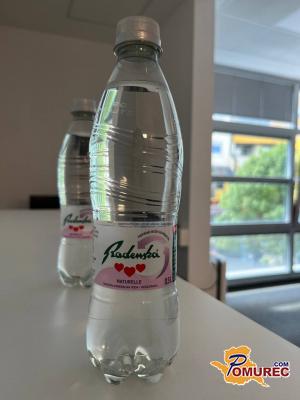 Radenska Naturelle – zlata na svetovnem izboru