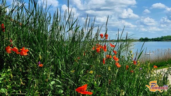 Kakšno vreme se nam obeta ta konec tedna?