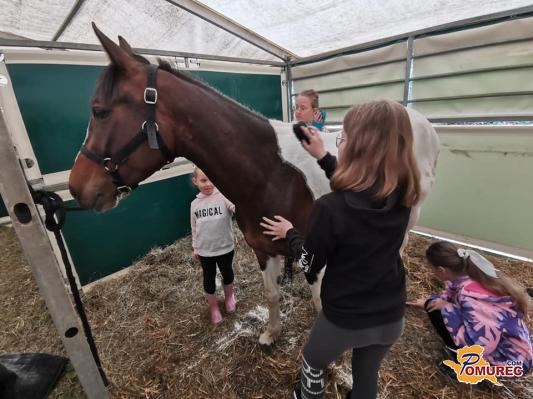 FOTO: Otroci so jahalne dneve preživeli v stiku s konji in v naravi 