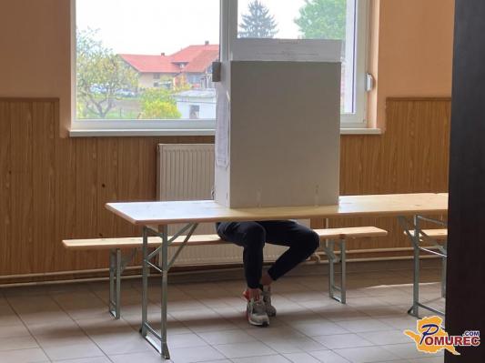 Priporoča se ukrep, da bodo lahko volili tudi ljudje z različnimi invalidnostmi