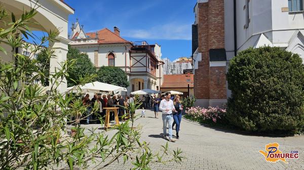 FOTO in VIDEO: Tradicionalni binkoštni piknik v znamenju dobrodelnosti