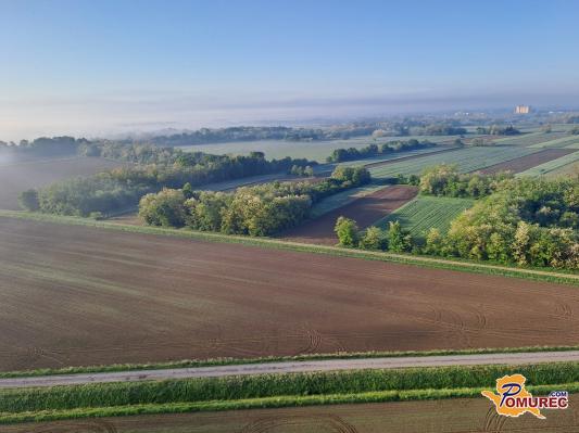 Kakšen bo vpliv vremena na počutje ljudi?