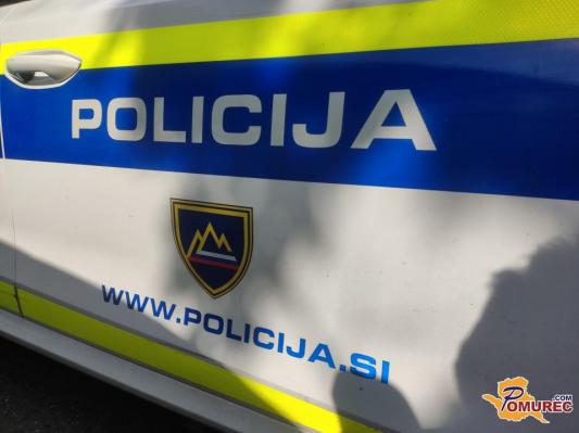 Prepovedano prehajanje meje, nasilje v družini in tatvina