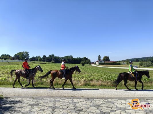 FOTO: Na Goričkem poteka tekmovanje v vzdržljivostnem jahanju