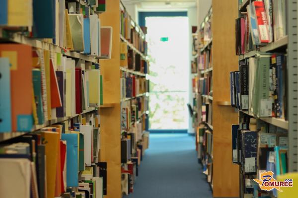 Preverite šest najbolj branih knjig za odrasle