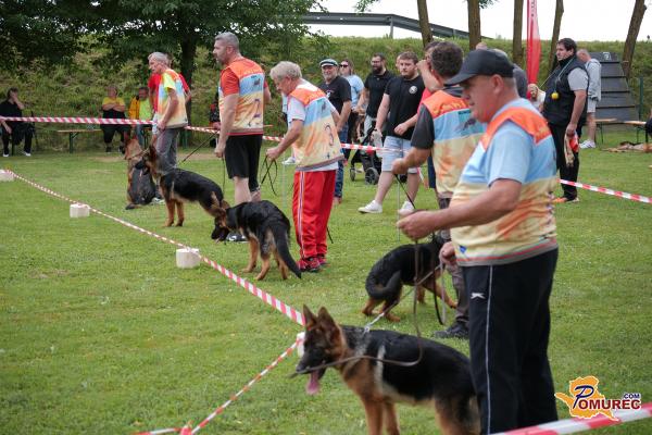 FOTO: V Murski Soboti potekala razstava nemških ovčarjev 