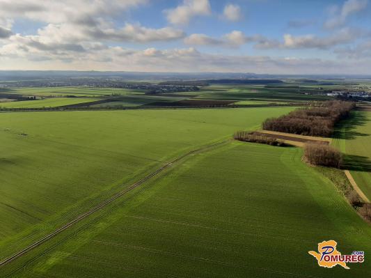 Znana je volilna udeležba do 19. ure, kako je bilo v Pomurju?