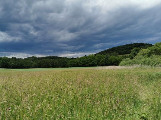 V tej pomurski vasi ni otrok