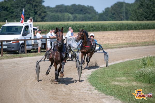 FOTO: V Križevcih pri Ljutomeru potekale kasaške dirke