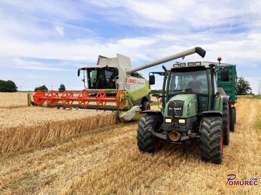 Pomurski pridelovalci pšenice razočarani nad nizkimi cenami