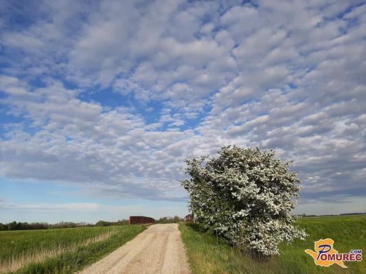 Kakšno vreme se nam obeta v prihodnjih dneh?