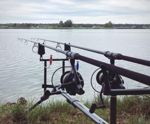 Se odpravljate na ribolov? Preverite, kdaj je poleti najboljši čas za to