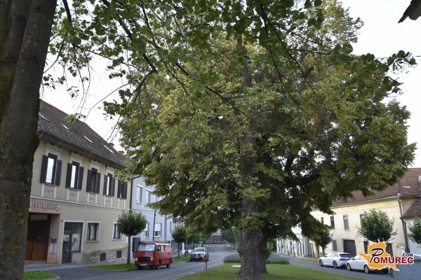 Popolne zapore nekaterih cest v Ljutomeru