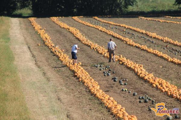 Spremembe v specifikaciji Štajersko prekmurskega bučnega olja?