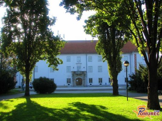 Preverite, kam se seli Sočna vilica