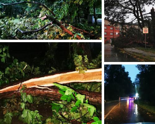 FOTO: Pomurje zajele hude nevihte, veter podiral drevesa, poplavljeni so tudi objekti 