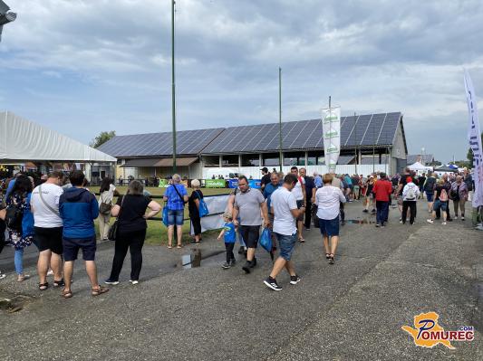 FOTO in VIDEO: Torkov utrip na sejmu Agra