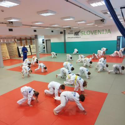 FOTO: Otroci uživajo na poletnem judo taboru