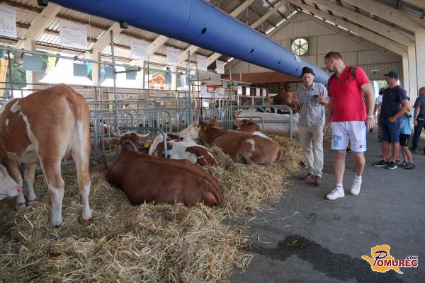 FOTO: Današnji utrip na sejmu Agra