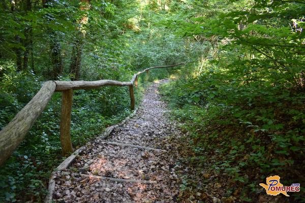 FOTO: Ali veste, kje se je po legendi kopal Grački zmaj?