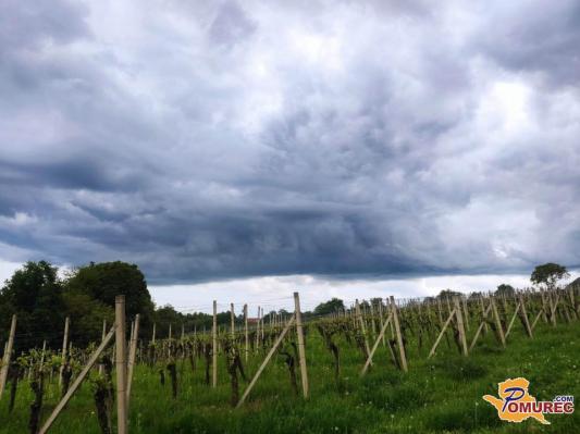 Vremenoslovci opozarjajo na močnejše nalive in udare strel