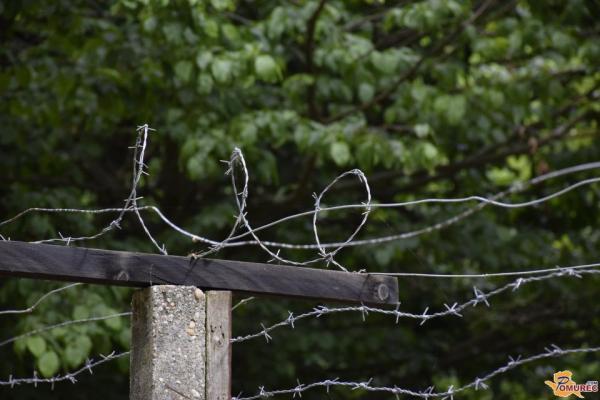 Nezakoniti prehodi meje na območju Pomurja upadli 