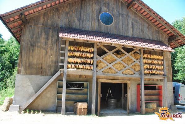 V novo sezono Kmetije vstopa tudi Prekmurka