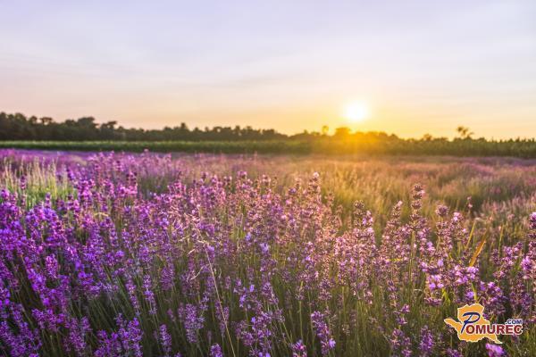 Preverite, kakšno vreme se nam obeta