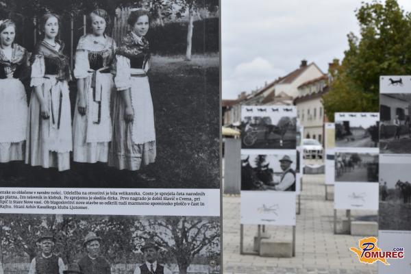 FOTO: Razstava ob 150-letnici ljutomerskega kasača vabi obiskovalce