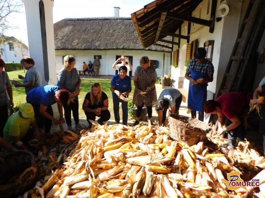 FOTO: V Nedelici oživeli star običaj - ročno ličkanje koruze