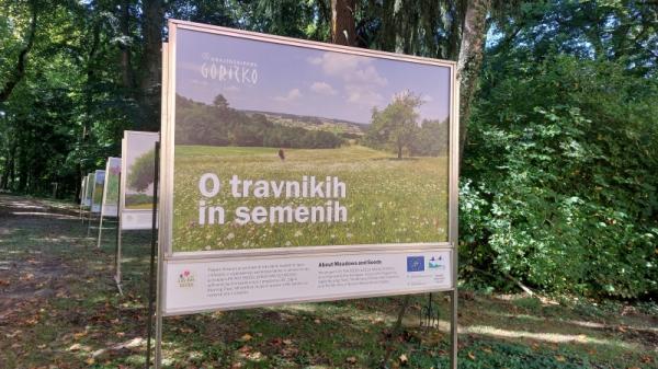 FOTO: Grajski park z novo razstavo Life for seeds