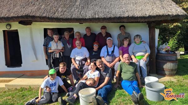 FOTO: Trgatev grozdja v društvenem vinogradu v Filovskem Gaju 