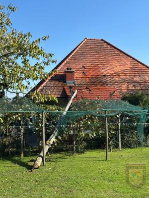 Prišlo je do požara: na hišo se je podrl drog električne napeljave