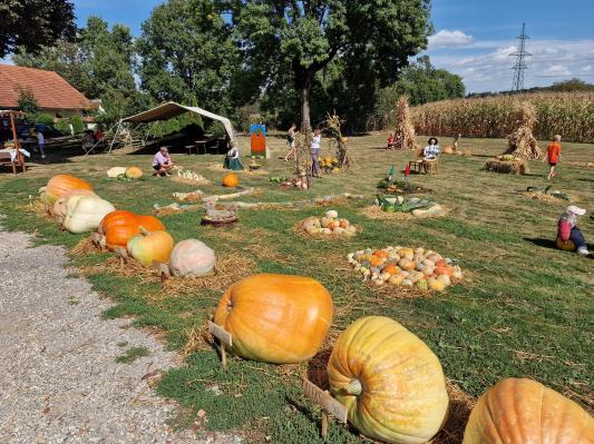  FOTO: 19. Bučarija z zgodovinsko težko bučo