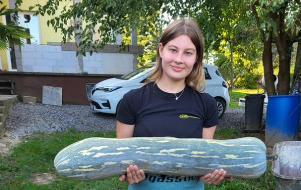 Pri Magdičevih v Strehovcih so pridelali 13-kilogramsko bučo