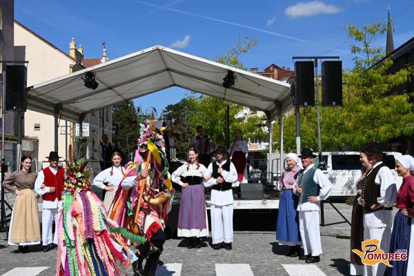 FOTO in VIDEO: Festival prekmurske šunke in gibanice poskrbel za okusno in zabavno doživetje