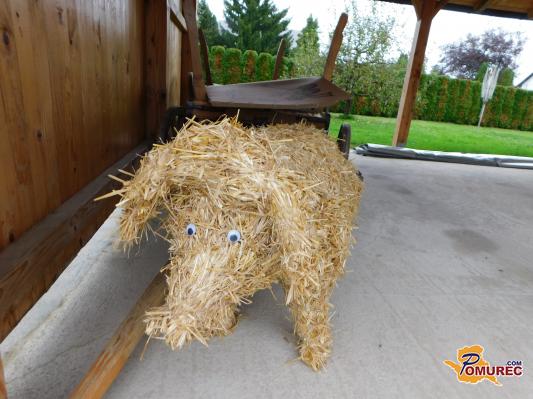 FOTO: Slamnati prašič čuva kmetijo Koroša v Križevcih pri Ljutomeru