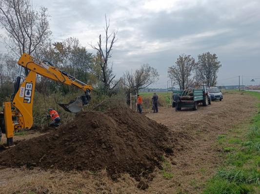 Zeleni projekt Komunale: Drevesa za boljše bivanje v Nemčavcih