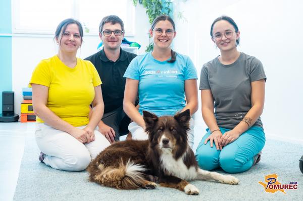 FOTO in VIDEO: Kako Dogs4motion spreminja življenja poškodovanih ljubljenčkov?