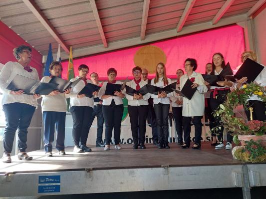 FOTO: Ljudski pevci so se srečali v Nedelici