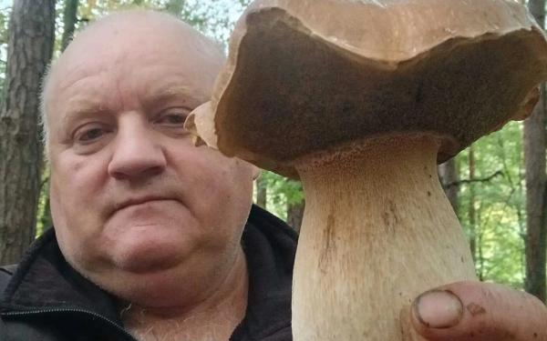 Navdušenje v gozdu: Gobar našel skoraj kilogramskega jurčka