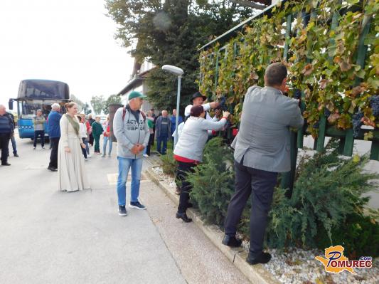 FOTO: Veselo in sproščeno na trgatvi grozdja žametne črnine v Turnišču 