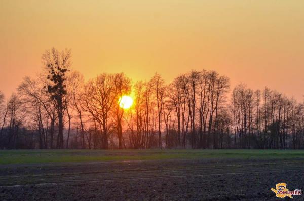 Smernice za zadostno preskrbo z vitaminom D v zaključni fazi