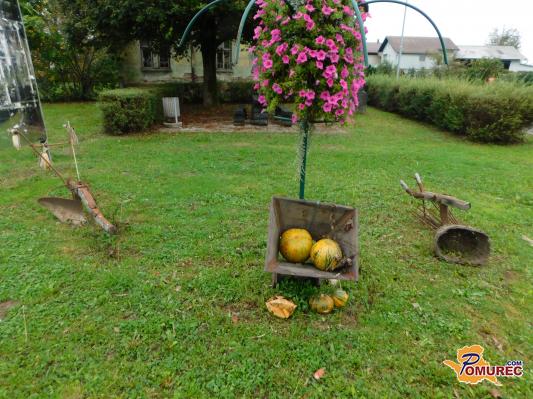 FOTO: V Turnišču so čas zavrteli za nekaj desetletij nazaj