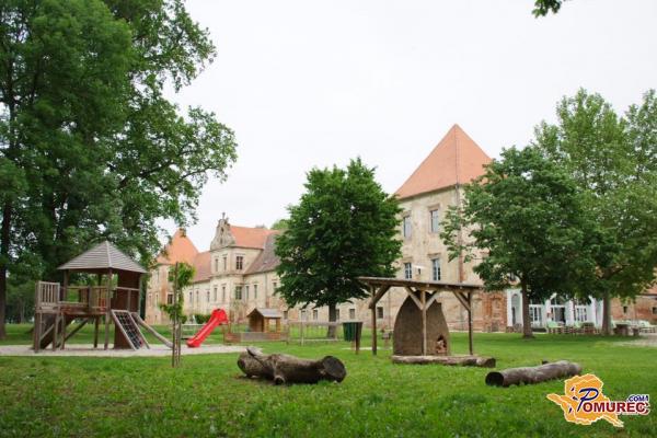 Svetniki zavrnili dodatno financiranje, Dvorec Rakičan v stečaj