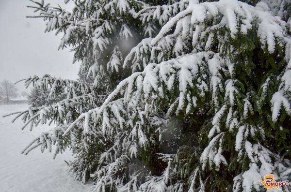 Prihajajo vremenske spremembe, sneženje v nižinah že prihodnji teden?