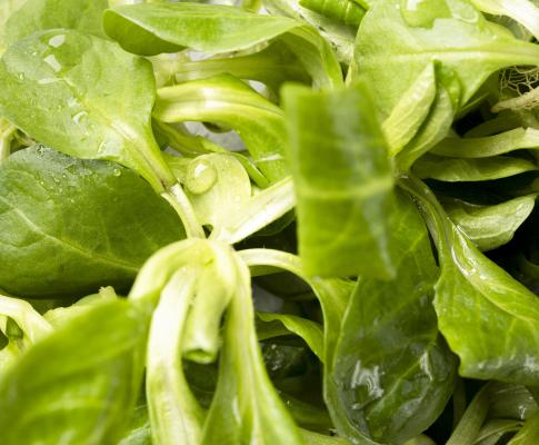 Zelenjava slovenskega porekla umaknjena iz polic