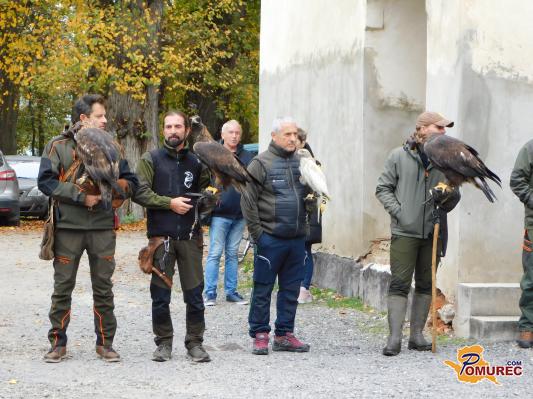 FOTO: V Beltincih slavnostno začeli lov s sokoli v Pomurju